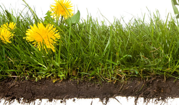 18����luck��(�й�)-�ٷ���վ