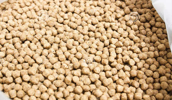 18����luck��(�й�)-�ٷ���վ