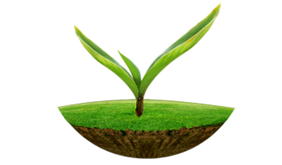 18����luck��(�й�)-�ٷ���վ