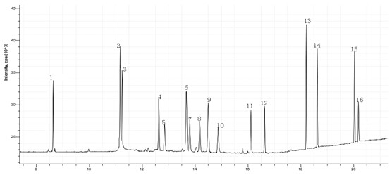 18����luck��(�й�)-�ٷ���վ