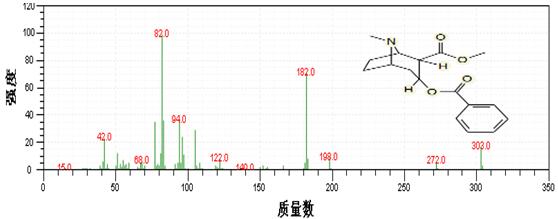 18����luck��(�й�)-�ٷ���վ