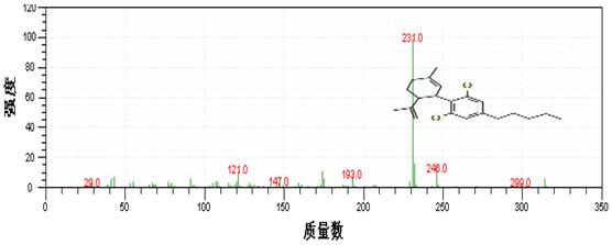 18����luck��(�й�)-�ٷ���վ