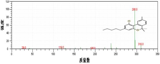 18����luck��(�й�)-�ٷ���վ