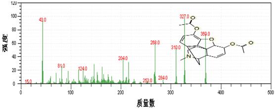 18����luck��(�й�)-�ٷ���վ