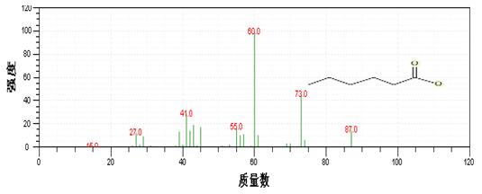 18����luck��(�й�)-�ٷ���վ