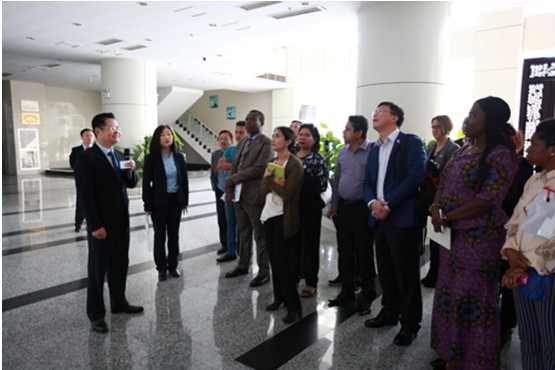 18����luck��(�й�)-�ٷ���վ