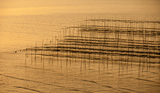 18����luck��(�й�)-�ٷ���վ