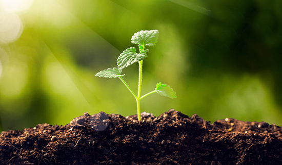 18����luck��(�й�)-�ٷ���վ