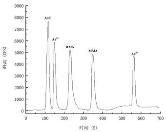 18����luck��(�й�)-�ٷ���վ