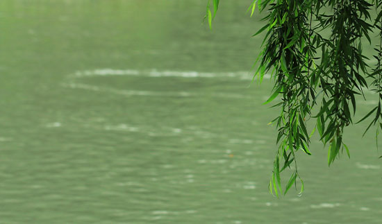 18����luck��(�й�)-�ٷ���վ