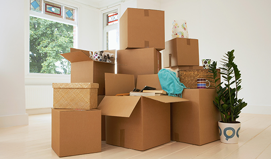 18����luck��(�й�)-�ٷ���վ