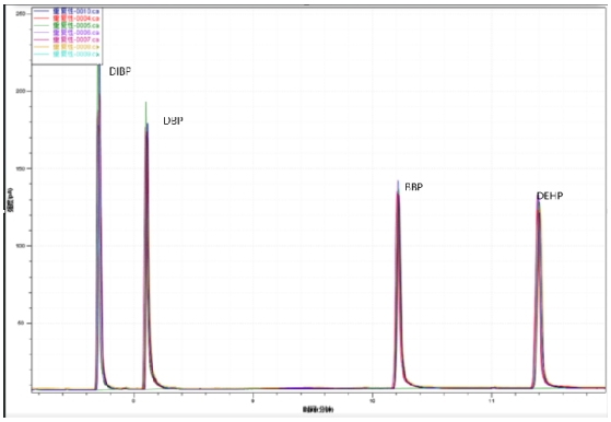 18����luck��(�й�)-�ٷ���վ